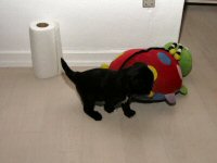 Img_006188