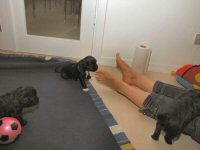 Img_006199