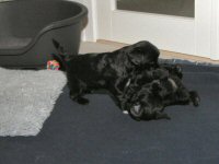 Img_006207