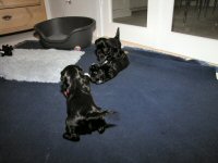 Img_006210