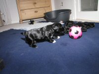 Img_006213
