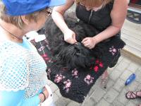 Img_006188