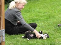 Img_006329