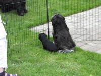 Img_006360