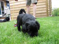 Img_006373