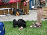 Img_006375
