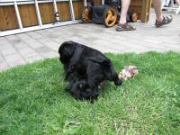 Img_006412