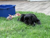 Img_006451