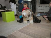 Img_006524