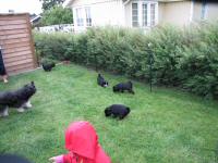 Img_006578