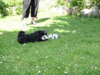 Img_006736