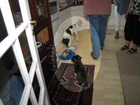 Img_006754