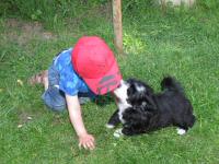 Img_006791