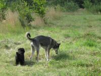 Img_006902