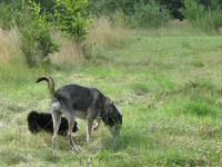 Img_006903