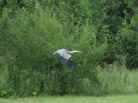 Img_006914