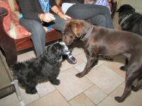 Img_007095