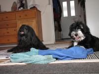 Img_007414 Gabbie og Sigurd