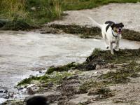 Img_007452