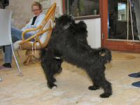 Img_007711