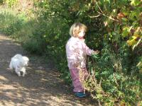 Img_007797