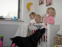 Img_007908
