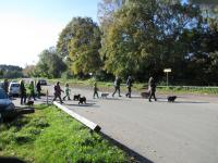 Img_008178