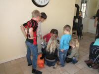 Img_009712