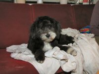 Img_009879