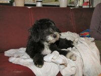 Img_009881