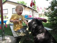 Img_010909
