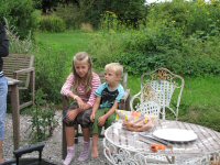 Img_011381