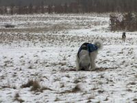 Img_012513