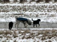 Img_012533