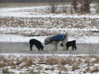 Img_012537