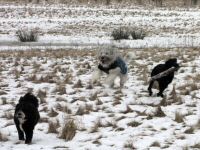 Img_012566