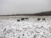Img_012571