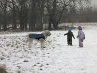 Img_012601
