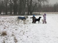 Img_012605