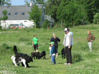 Img_013539