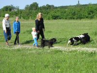Img_013557