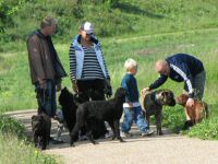 Img_013571