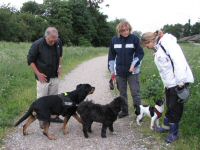 Img_013617