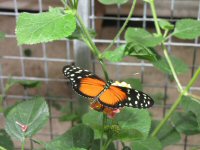 Img_014032