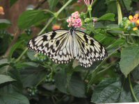 Img_014053