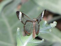 Img_014071
