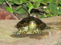 Img_014078