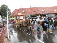 Img_014122