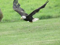 Img_014301