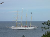 Img_014352